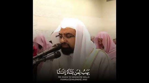 لِلَّهِ مُلْكُ السَّمَاوَاتِ وَالْأَرْضِ ۚ | ناصر القطامي | حالات واتساب قرآن كريم