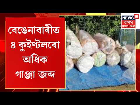 Orang News | 4 Quintals of Ganja Seized | ওৰাঙৰ বেঙেনাবাৰীত ৪ কুইণ্টলৰো অধিক গাঞ্জা জব্দ
