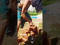 boxing training at home 💪! #motivation #boxing #trending #home #shorts #tutorial #learning #viral