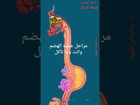 د سليمان صحة أنسان مراحل عملية الهضم والاخراج