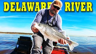 Delaware River striped bass fishing.