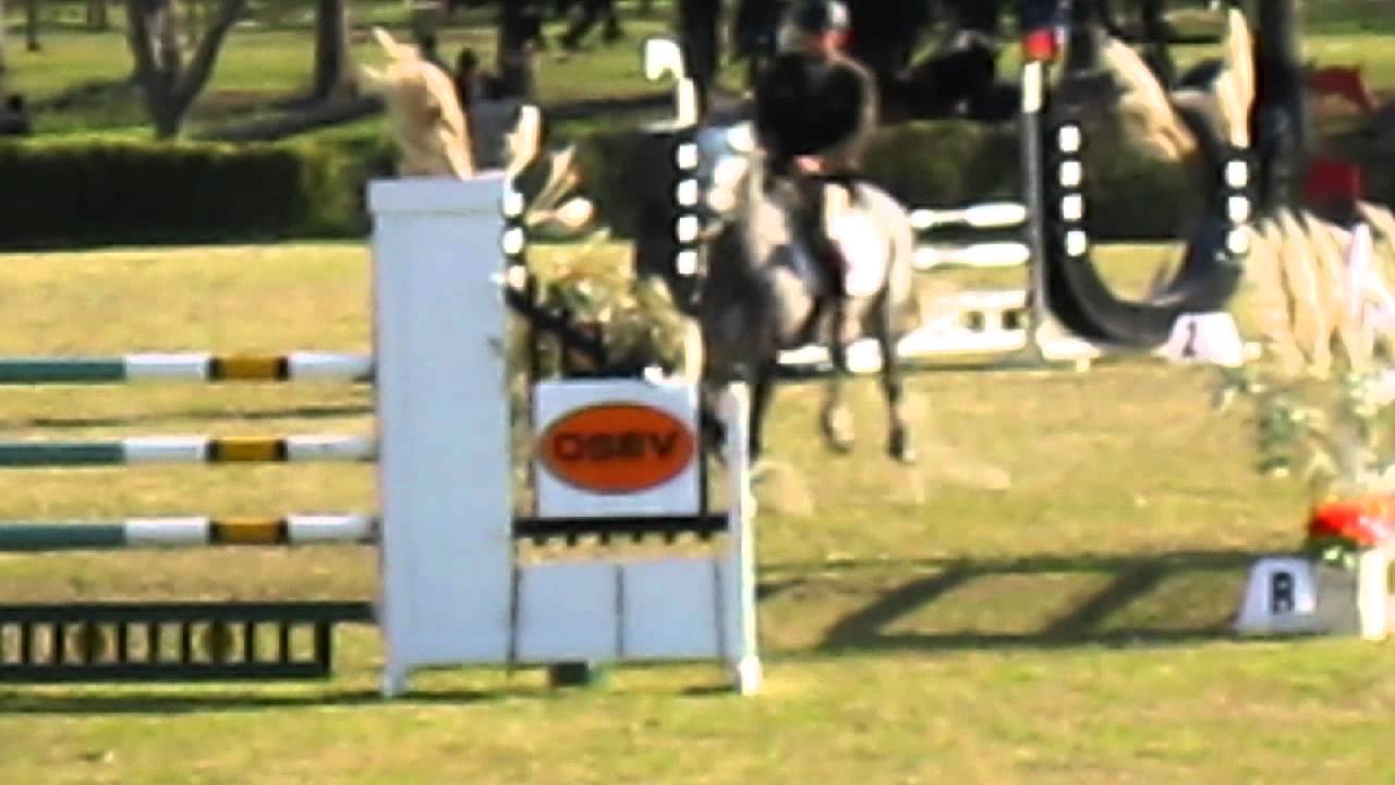 choffa Comandante en recorrido de 1.30 m-