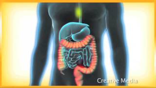 Csm Showreel 22 07 2013