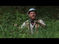 Foraging for Stinging Nettle
