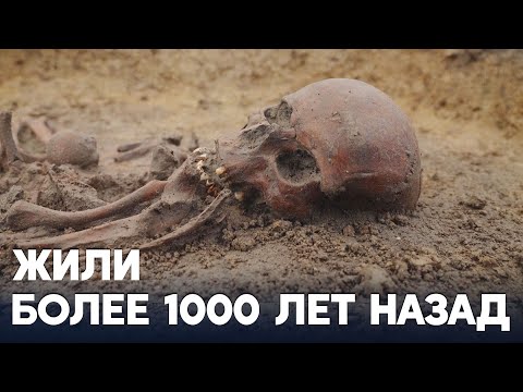 Кладбище эпохи викингов с 50 скелетами раскапывают в Дании