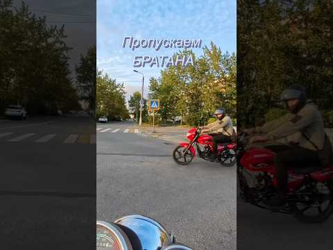 Попутчик )) #мото #apelsinorangee #попутчик