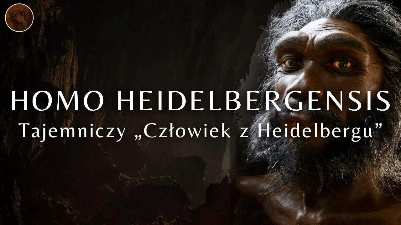 🐘Kim właściwie był Homo Heidelbergensis?