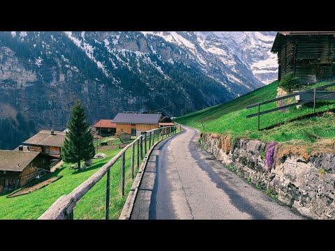 Video #2- Cảnh Đẹp Thụy Sỹ - Khám Phá Ngôi Làng GIMMELWALD |... - youtube