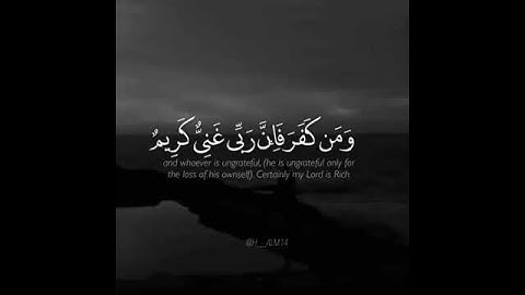 ارح قلبك: حالات واتس اب قران كريم (اسلام صبحي)