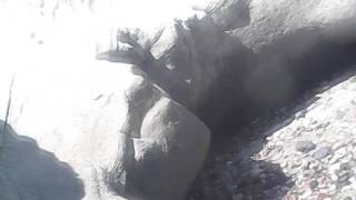 Çeşme Alaçatı Delikli Koy