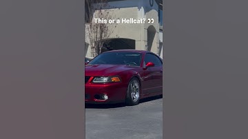 What would you rather drive #cobra #mustang #terminatorcobra #supercharged  #hellcat