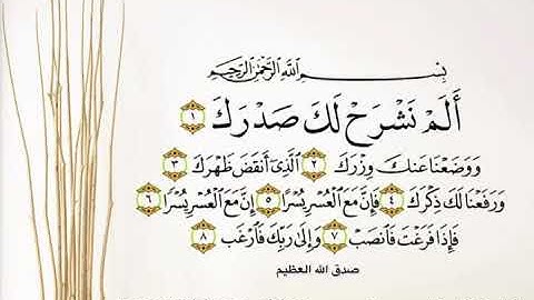 ألم نشرح لك صدرك#تلاوة للقاريء الشيخ#إدريس_أبكر من#سورة_الشرح