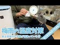 【チンチラ】梅雨の湿度対策！湿度40％以下って難しくない？【chinchilla】