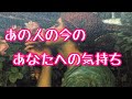 ［❤︎］お相手の今のあなたへの気持ち