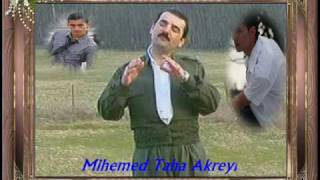 Mihemed Taha Akreyî Newroz Resimi