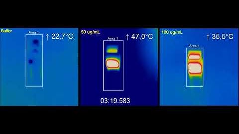 rGO-Fe3O4 Nanocomposite in Photothermal Therapy – Supplementary video S1 [ID 256760]
