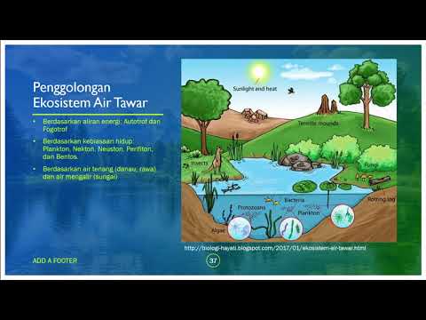 Ekosistem Air Tawar (Part 5)