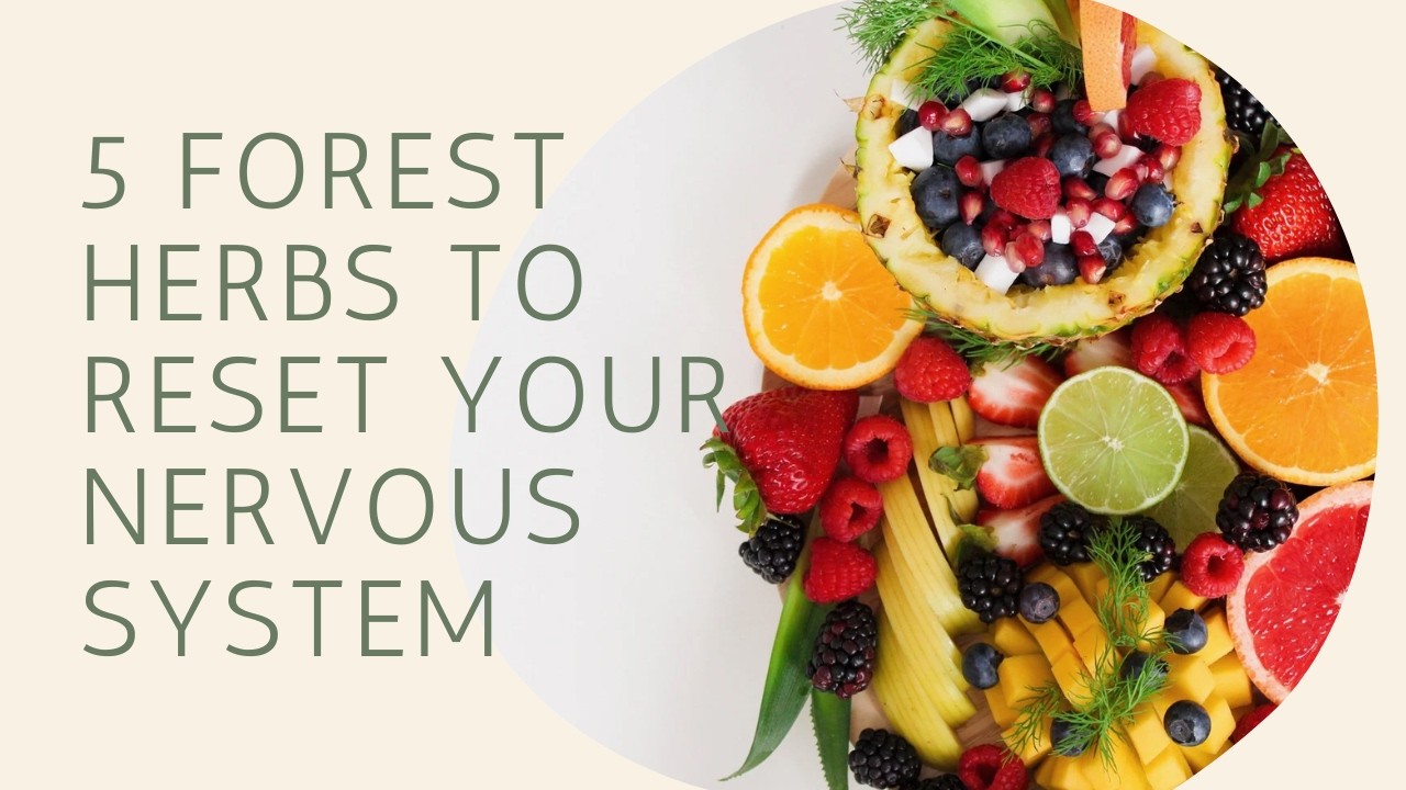 5 FOREST HERBS TO RESET YOUR NERVOUS SYSTEM - YouTube