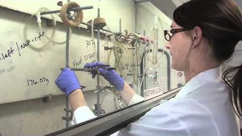 How Does Morphix Technologies Find New Members for our Family?