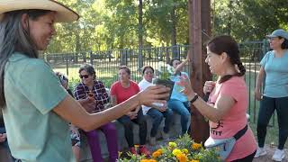 What is Community Health Improvement Week?