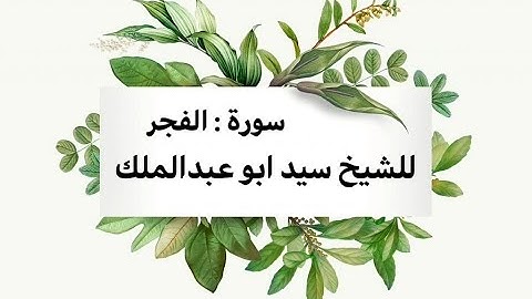 المصحف المعلم سورة الفجر للشيخ سيد ابو عبدالملك