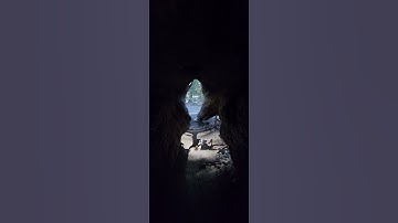 Walking Through A Dead Sequoia Tree: Part 2