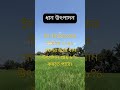 ধান উৎপাদন: জলবায়ু পরিবর্তনে ধান উৎপাদন কতটা ঝুঁকিতে? #shorts  #climatechange #bangladesh