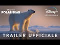 Disney+ | Polar Bear - Disponibile in Esclusiva dal 22 aprile