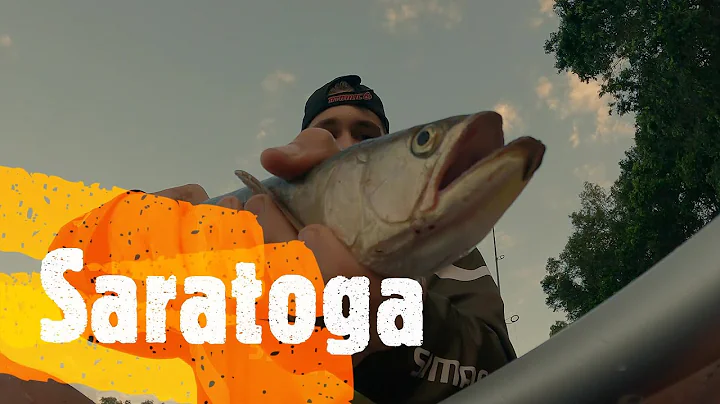 Saratoga and soots on surface