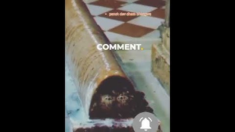 #रामदेवरा अभिषेक दर्शन #समाधी दर्शन #ramdevbaba #ramdevramela2023 #runicha #ramdevra #panch #ramdev