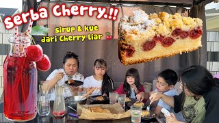 CHERRY CAKE & CHERRY SYRUP FROM THE HARVEST‼️FREE TREATS FROM NATURE