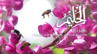 99 имен Аллаха - 32 - Аль-Халиим | Учим имена Всевышнего - 32