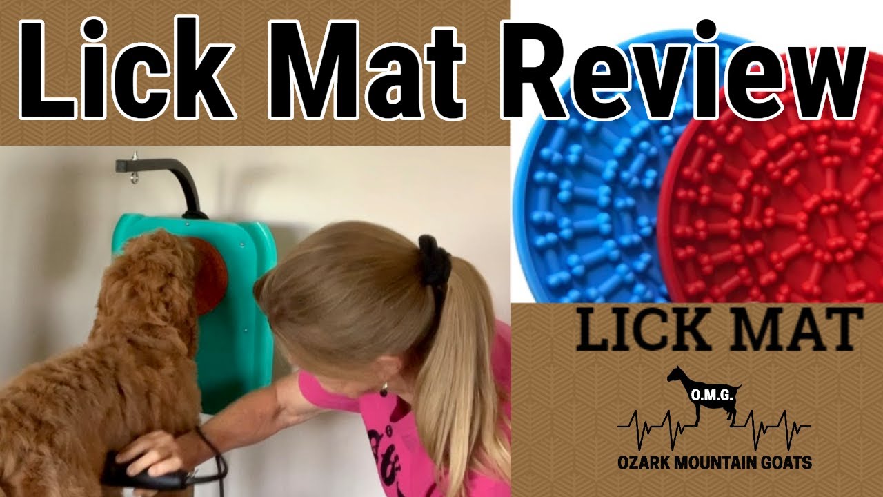Keeping Puppy Calm During Grooming / Lick Mat Review YouTube