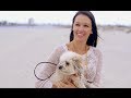 Doggy Tips for the Warm Season - Petco Doggy Tips for the Warm Season - Petco