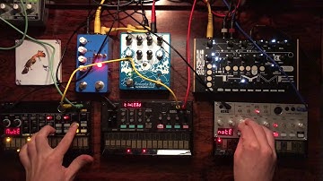 Volca FM + Bass + Beats + Bastl Thyme + Count to Five + Avalanche Run