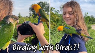 Conures’ Day Out! | Taking My Birds Birdwatching by ElleAndTheBirds 33,897 views 1 year ago 9 minutes, 28 seconds