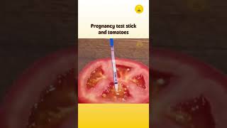 DailySmiles | Pregnancy test stick and tomatoes #shorts