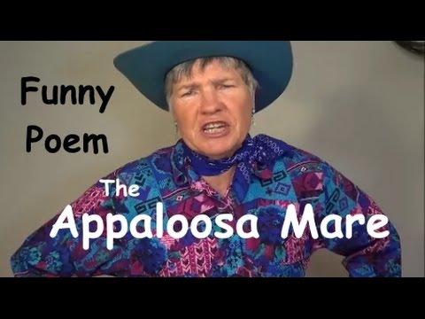 appaloosa-mare,-funny-poem,-cowboy-poetry