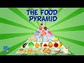 THE FOOD PYRAMID | Educational Video for Kids. image