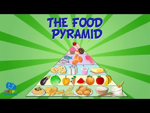 THE FOOD PYRAMID | Educational Video For Kids.