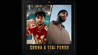 Sukha & Tegi Pannu Dance Pop Remix