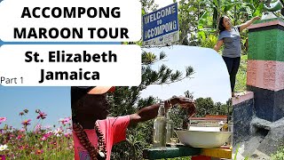 Accompong Maroon Village Tour| St. Elizabeth| Jamaica. Part 1. Chat Jamaican with Tania #JAMAICA