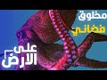 مخلوق فضائي عايش على الأرض الأخطبوط 