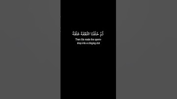 ولقد خلقنا الانسان من سلالة من طين - سورة المؤمنون  آية - 12 - 13  - 14   نوادر   محمد صديق المنشاوي