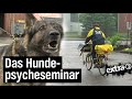 Realer Irrsinn: Hundepsyche-Seminar (2001) | extra 3 | NDR