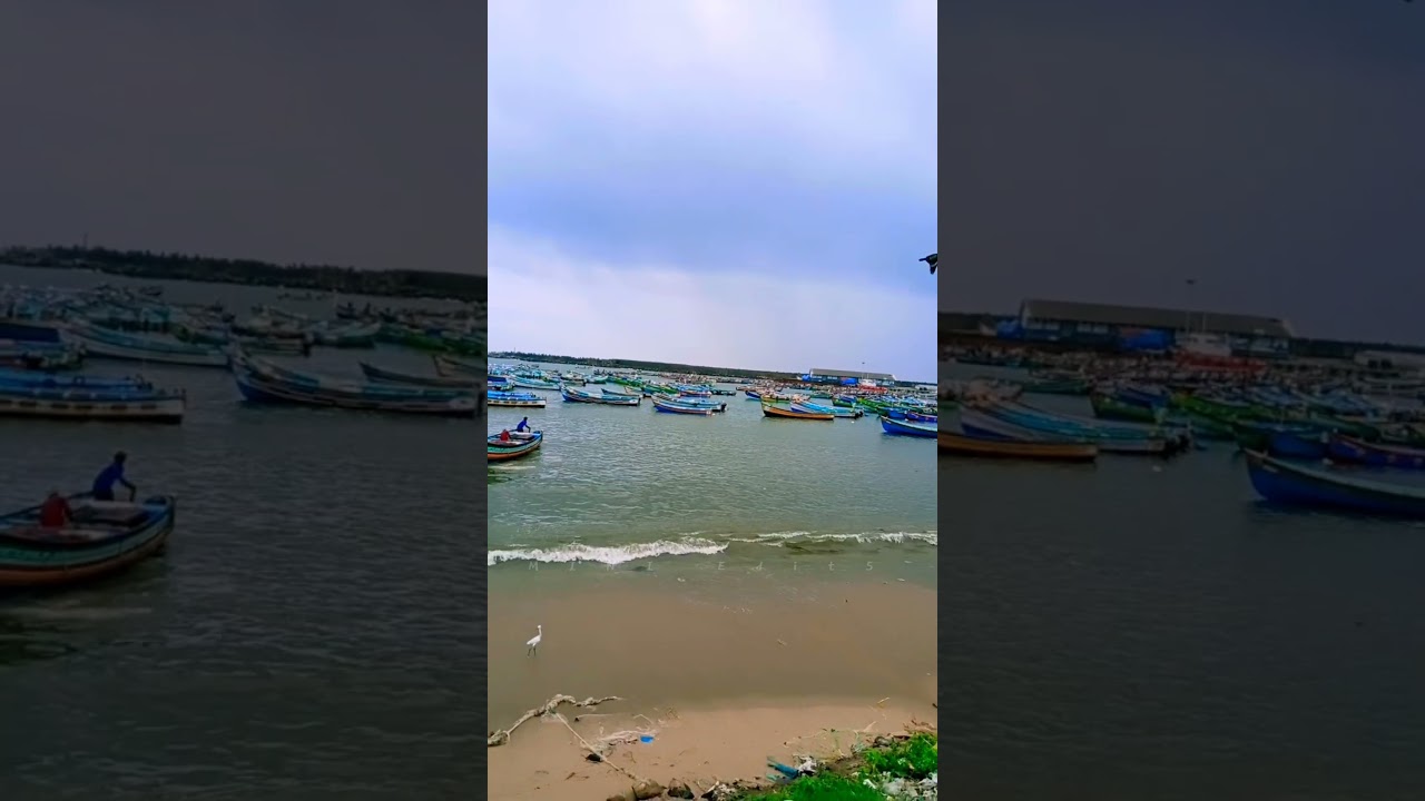 Ek Danta Do Danta Tere Pe Apun Ka Hak Banta - Hindi Status Tube