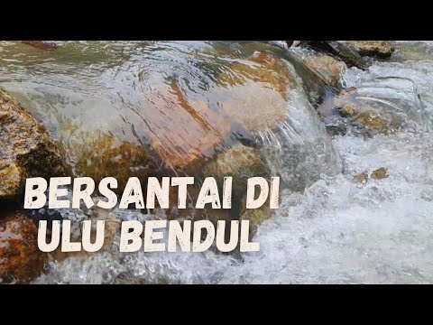 Video: Cara Bersantai Di Alam Semula Jadi