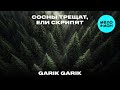 Garik Garik - Сосны трещат, ели скрипят (Single 2026)