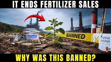 This Plant Replaces Fertilizer Forever So Why Did They Ban It