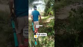 Download Lagu cara panen sawit pakai agrek gen MP3